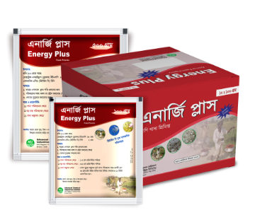 Picture of Energy Plus Premix 100gm