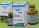 Acimec 1% Inj  5ml