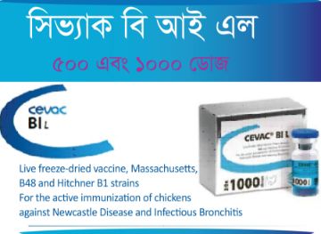 Picture of CEVAC Bi L  (500 dose)