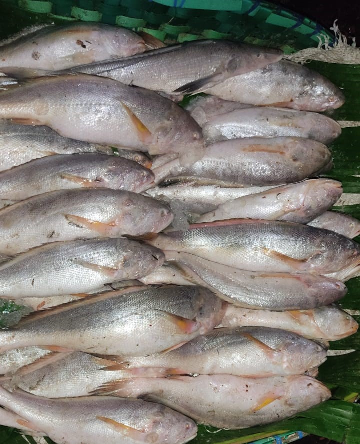Picture of  Lenja Poa Sea  Fish(Per kg)