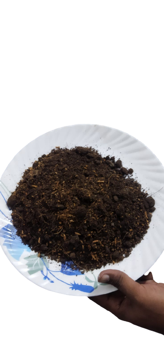 Picture of Coco Peat (1kg)