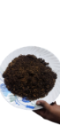 Coco Peat (1kg)