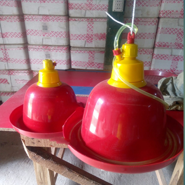 Picture of China coffee auto bell dinker (per piece)