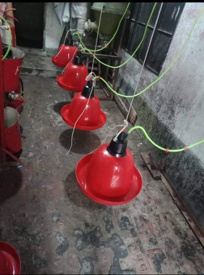 Picture of Indian auto bell dinker (per piece)