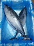 Tuna Fish (Per Kg)