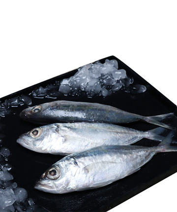 Picture of  Surma Maitya Sea Fish (Per Kg)