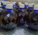 Organic Black Water for Pigeons and birds (1 liter)