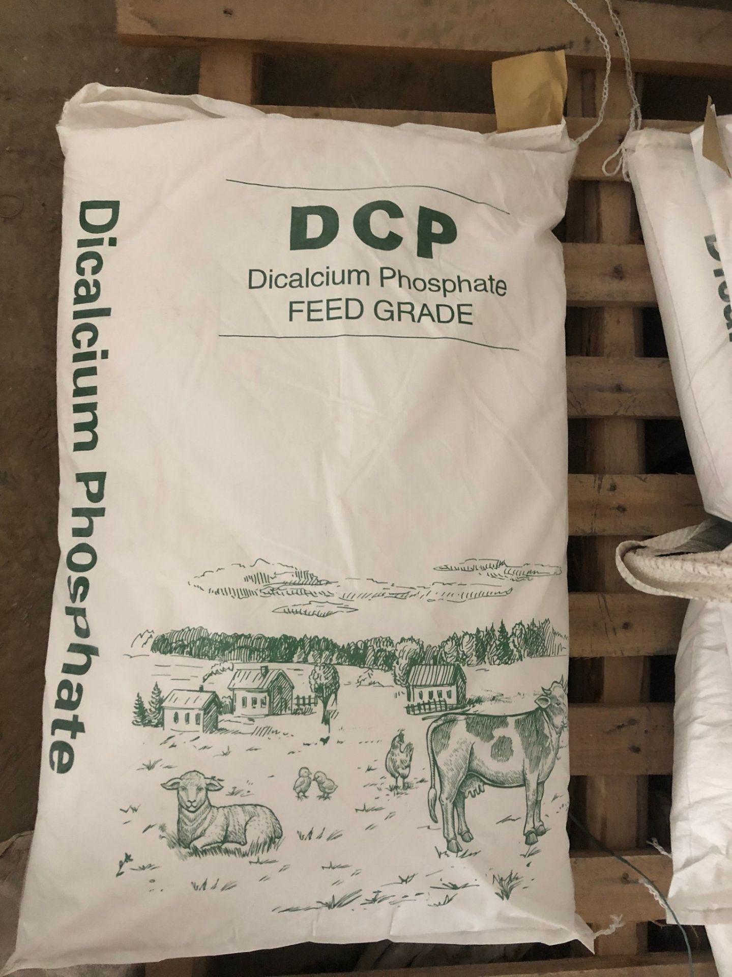 Picture of DCP powder/granular