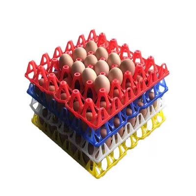 Picture of Egg trays (per piece)