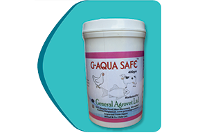 Picture of G-Aqua Safe 400GM