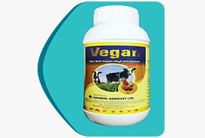 Picture of Vegan (ADE)-500ml