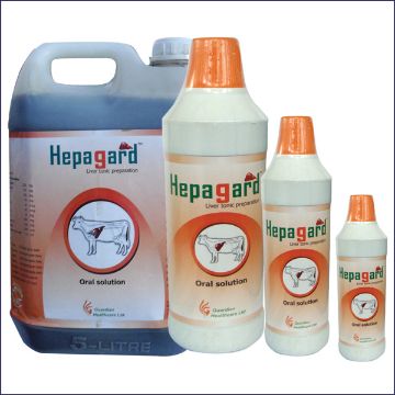 Picture of Hepagard 1 Liter