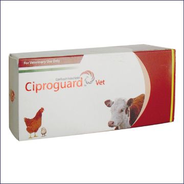 Picture of Ciproguard Bolus (10 x 2's Box) 