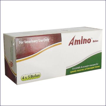 Picture of Amino (10x2's )Bolus