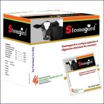 Stomagard Powder 20 gm 