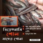 Vietnamese Shoal Fish Pona 2.5-3 Inch(Per 1000 Piece)