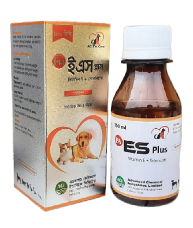 подписка pa plus