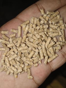 Picture of Fish Meal (Per kg)