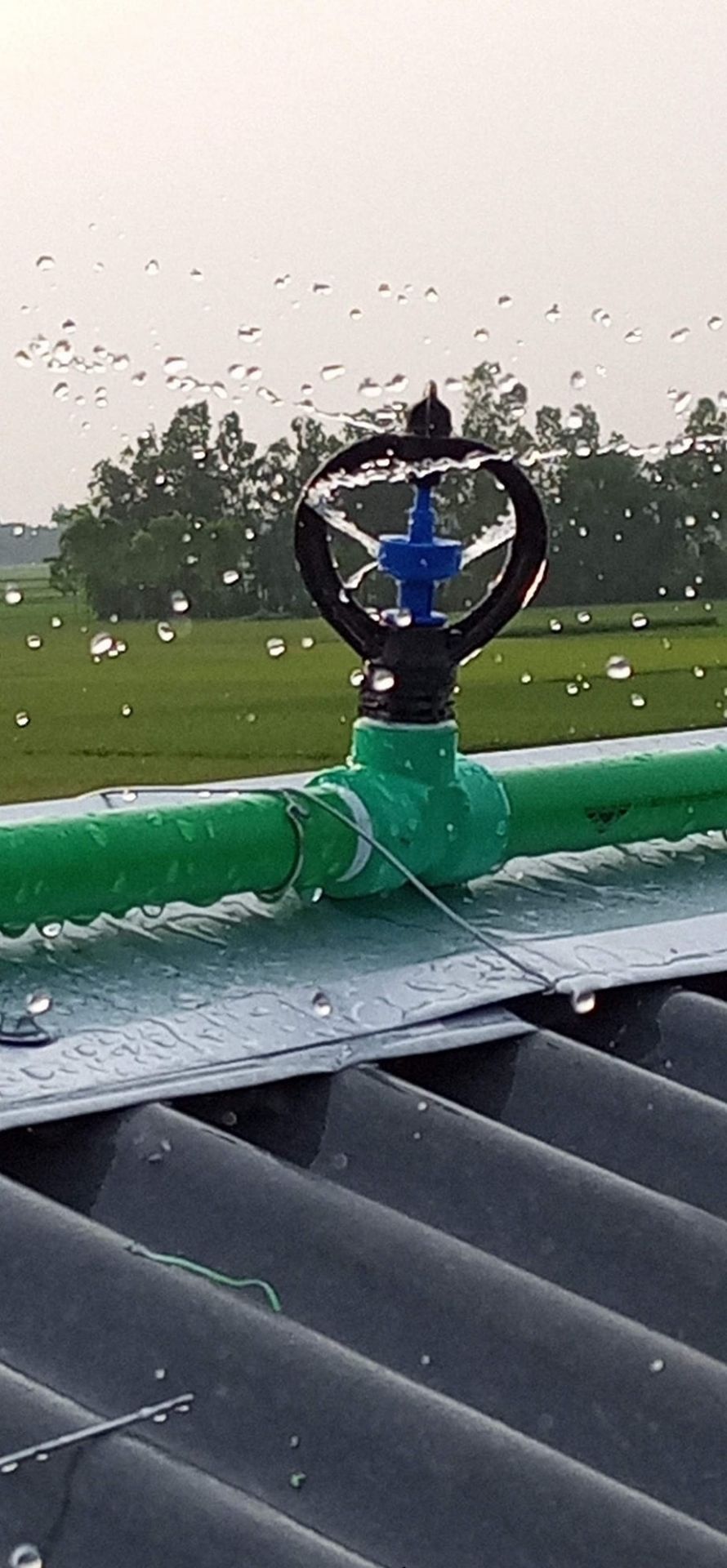 Picture of Butterfly Sprinkler (ঝর্না) বা কৃত্রিম বৃষ্টি