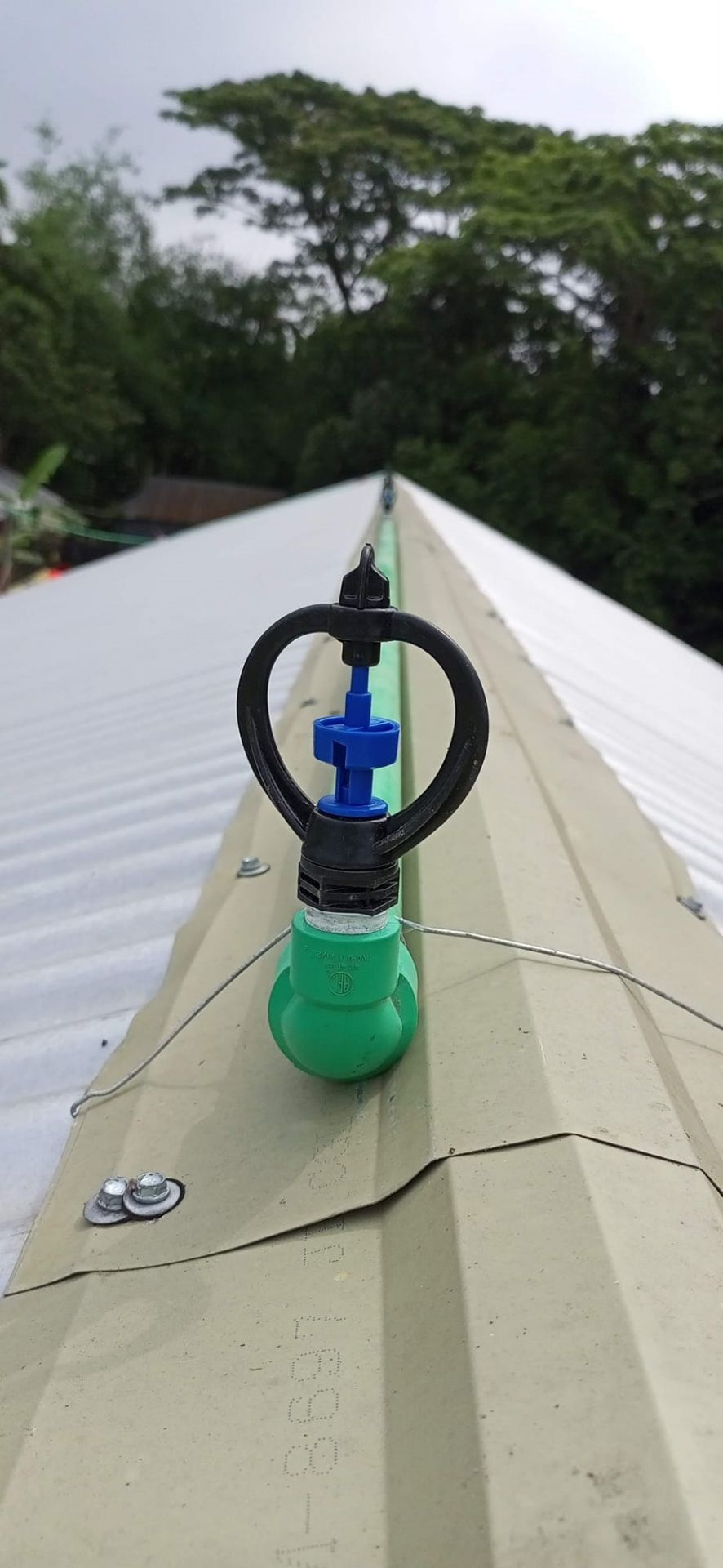 Picture of Butterfly Sprinkler (ঝর্না) বা কৃত্রিম বৃষ্টি