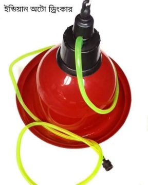 Picture of Auto Drinker – For Poultry Farm