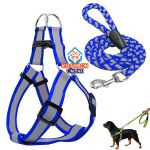 Dog Harness With Leash Set Reflective Nylon Leashes For Small & Medium Dog