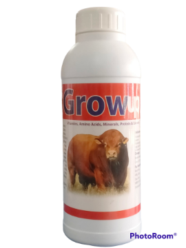 Picture of Grow up 500ml 