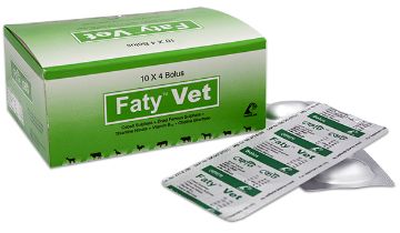 Picture of Faty Vet
