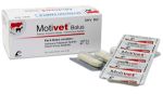 Motivet Bolus (5 x 4's)