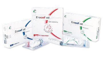 Picture of Eracef Vet IM 2g 