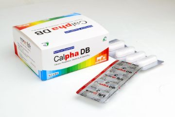 Picture of Calpha DB (10x4's)Bolus