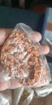 মসুর ডাল -২৫ কেজি 