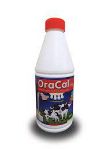 OraCal Vet 1L
