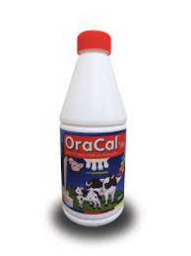 Picture of OraCal Vet 1L