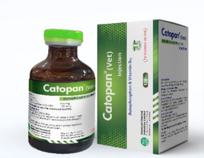 Boost Your Cattle's Performance with Catopan Vet Injection
