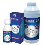 Eskcolis-24 (vet) oral solution 1L