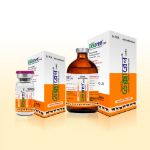 Dexaren Inj. 10ml