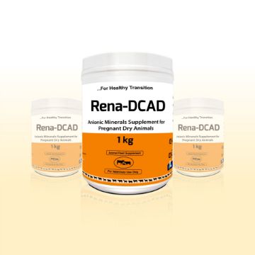 Picture of Rena DCAD Powder -1000 gm Container