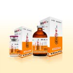 Renamic injection -10ml