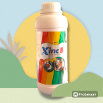 XINC B 1000ml