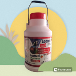 Lactocal plus 5ltr.