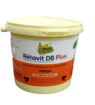 Picture of Renavit DB Plus -1000 gm