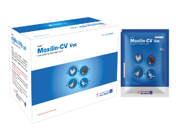 Picture of Moxilin-CV Vet WSP 10 gm (10 × 10 gm)