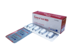 Doloryl Vet Bolus 500 mg (5 × 4's)