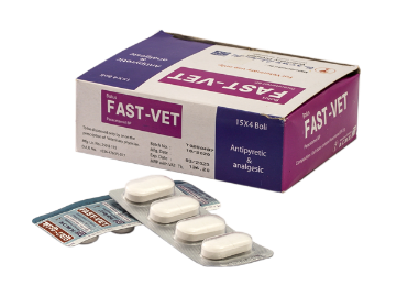 Picture of Fast-Vet Bolus 2 gm (15 × 4's)