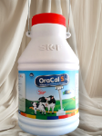 OraCal s Vet (10L) 