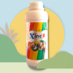Xinc B Vet Solution 3 L 