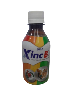 Picture of Xinc B Vet 200 ml Solution