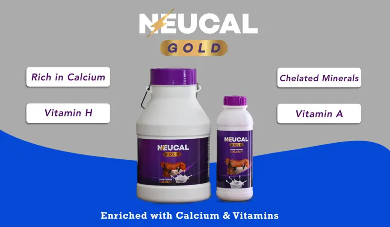 Picture of NEUCAL GOLD 10 L 