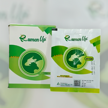 Picture of RumenUp 20gm× 10